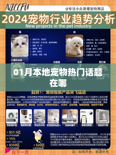 宠物热点话题一月份聚焦,本地宠物热门话题大盘点