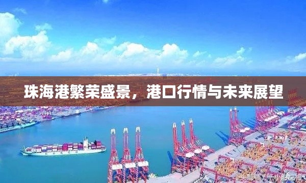 珠海港繁荣盛景,港口行情与未来展望