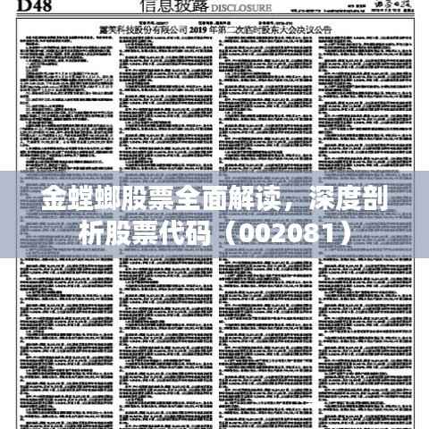金螳螂股票全面解读,深度剖析股票代码(002081)