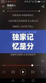 独家记忆是分手歌,独家记忆歌词