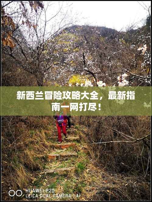 新西兰冒险攻略大全,最新指南一网打尽!