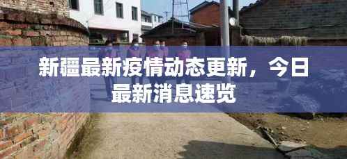 新疆最新疫情动态更新,今日最新消息速览