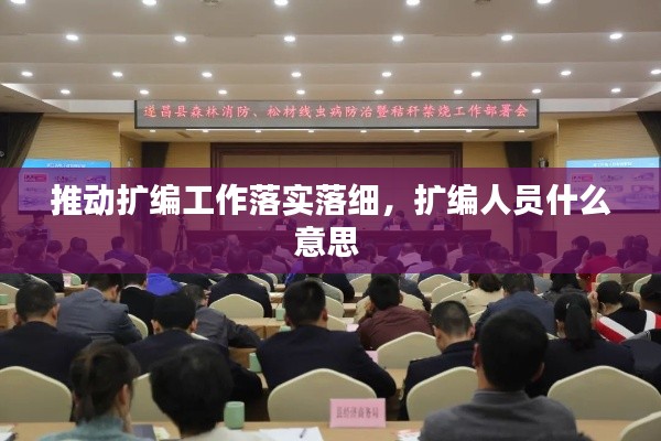 推动扩编工作落实落细,扩编人员什么意思