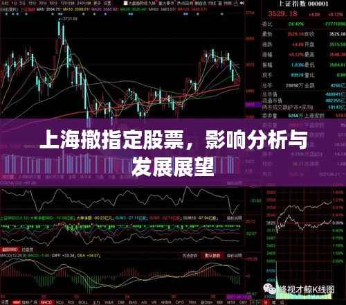 上海撤指定股票,影响分析与发展展望