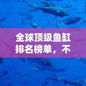 全球顶级鱼缸排名榜单,不容错过的收藏与投资之选