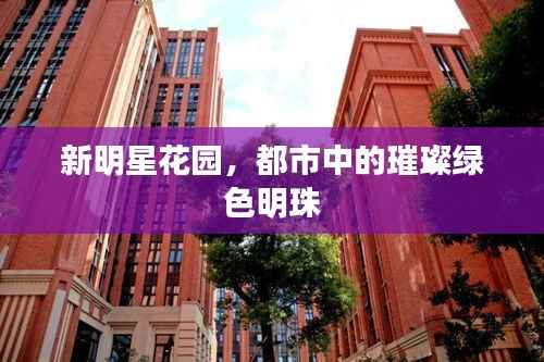 新明星花园,都市中的璀璨绿色明珠