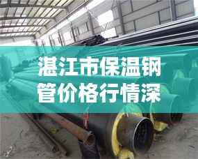 湛江市保温钢管价格行情深度解析