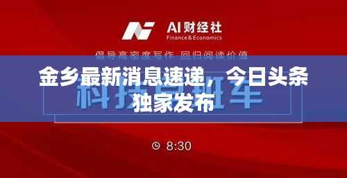 金乡最新消息速递,今日头条独家发布