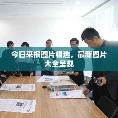 今日采报图片精选,最新图片大全呈现