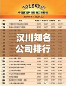 汉川知名公司排行榜及影响力分析