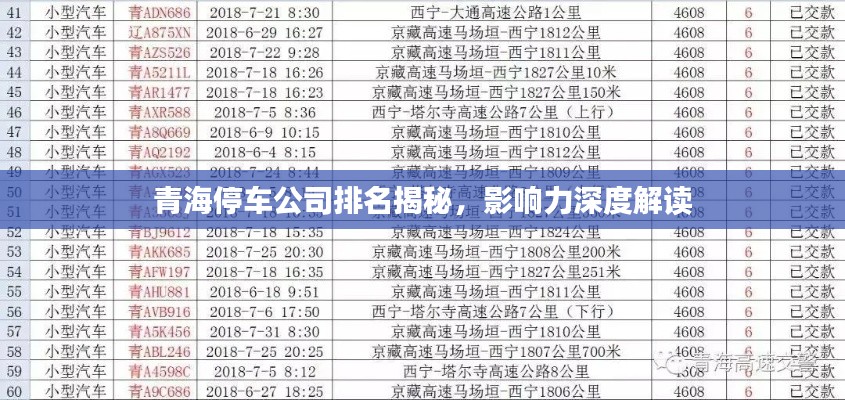 青海停车公司排名揭秘,影响力深度解读