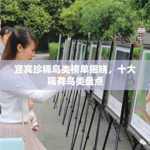 宜宾珍稀鸟类榜单揭晓,十大稀有鸟类盘点