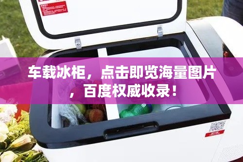 车载冰柜,点击即览海量图片,百度权威收录!