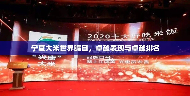 宁夏大米世界瞩目,卓越表现与卓越排名