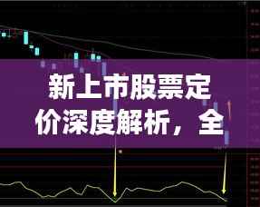 新上市股票定价深度解析,全方位解读助你洞悉股市奥秘