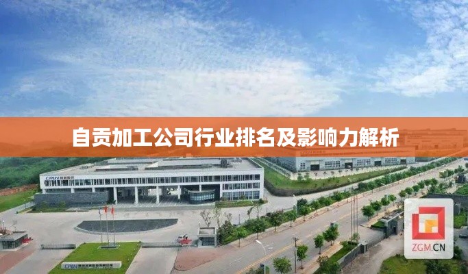 自贡加工公司行业排名及影响力解析