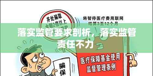 落实监管要求剖析,落实监管责任不力