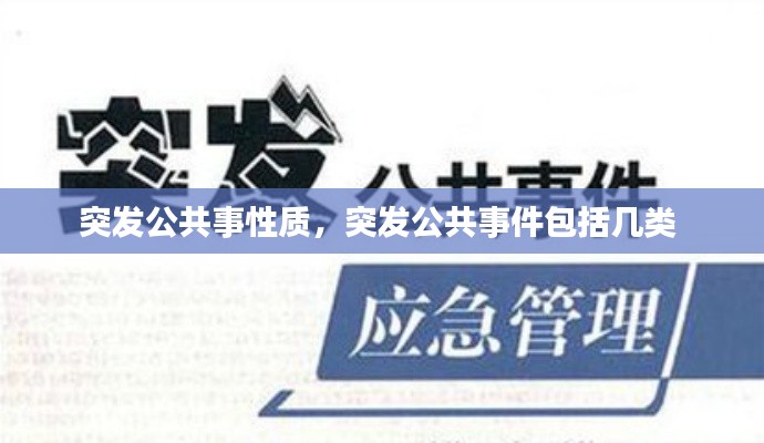 突发公共事性质,突发公共事件包括几类