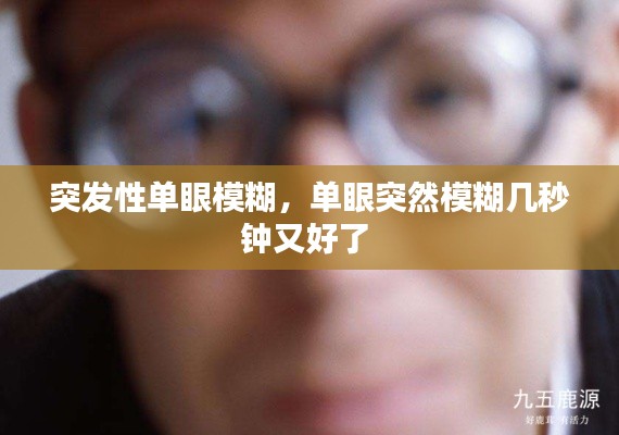 突发性单眼模糊，单眼突然模糊几秒钟又好了 