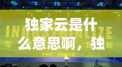 独家云是什么意思啊,独家百度百科