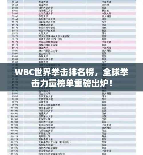 WBC世界拳击排名榜,全球拳击力量榜单重磅出炉!