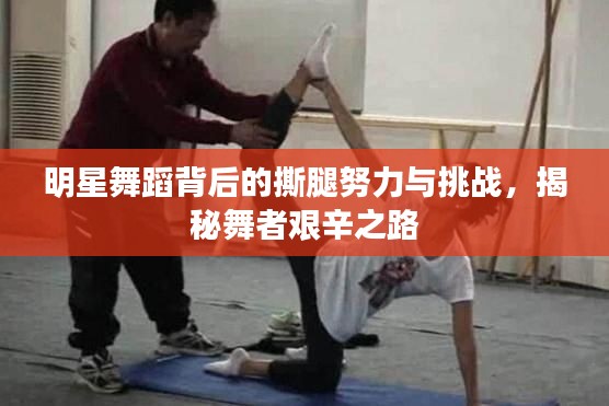 明星舞蹈背后的撕腿努力与挑战,揭秘舞者艰辛之路