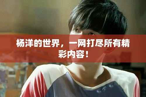 杨洋的世界，一网打尽所有精彩内容！