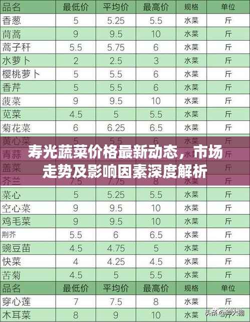 寿光蔬菜价格最新动态，市场走势及影响因素深度解析