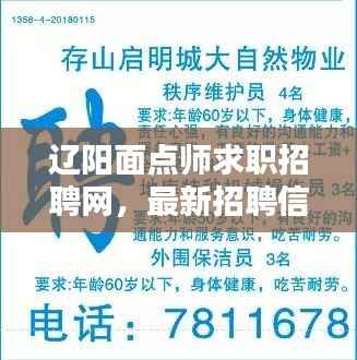 公司概况 第91页