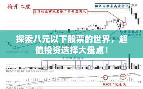 探索八元以下股票的世界，超值投资选择大盘点！
